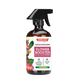 Serbajadi Cactus & Succulent Flower Booster 500ml