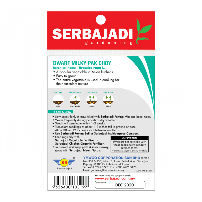 Serbajadi Seeds Curly Wrap Pak Choy - Pak Choy Kerinting Pendek BBS ( BBS062 ) - Image 2