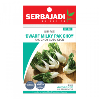 Serbajadi Seeds Dwarf Milky Pak Choy - Pak Choi Susu Kecil ( BBS 061 )