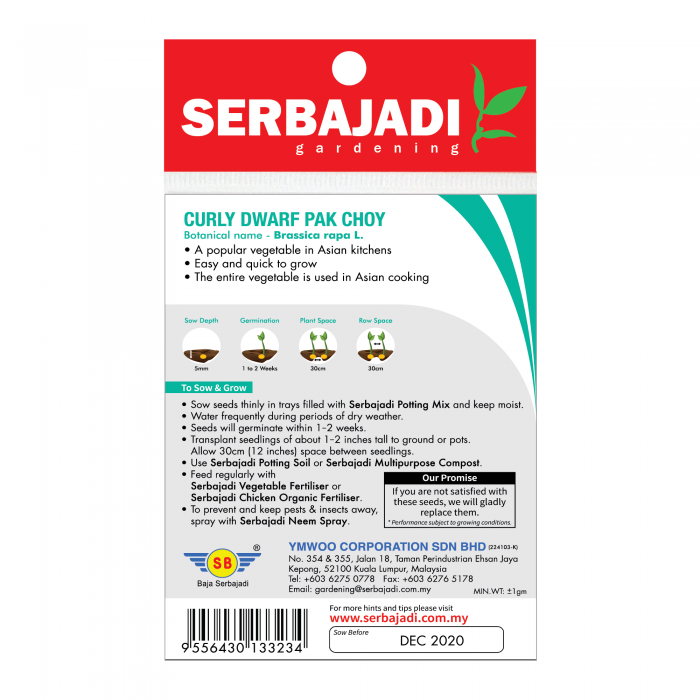 Serbajadi Seeds Curly Dwarf Pak Choy - Maa Yee Pak Choy - BBS058 - Image 2