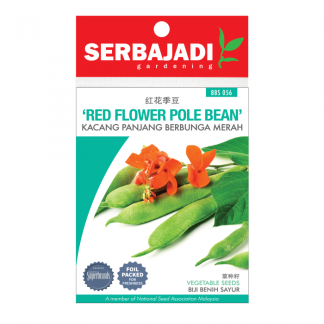 Serbajadi Seeds Red Flower Pole Bean - Kacang Panjang Berbunga Merah ( BBS056 ) (+/- 5 Seeds)