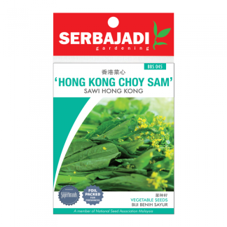 Serbajadi Seeds Hong Kong Choy Sam ( BBS045 ) (+/- 170 Seeds)
