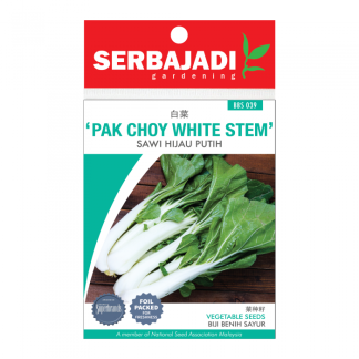 White-Stem Pak Choy Seeds (about 115 seeds)
