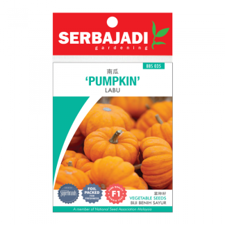 Serbajadi Seeds F1 hybrid Pumpkin - Labu ( BBS035 ) (+/- 55 Seeds)