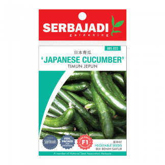 Serbajadi Seeds F1 Hybrid Japanese Cucumber - Timun Jepun ( BBS033 ) (+/- 15 Seeds)