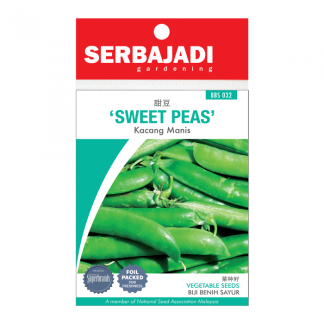 Sweet Pea (Kacang Manis) Seeds (about 5 seeds)
