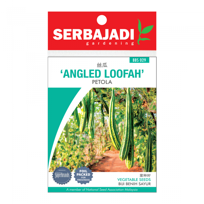 Serbajadi Seeds Angled Loofah - Petola ( BBS029 ) (+/- 10 Seeds)