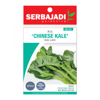 Serbajadi Seeds Chinese Kale - Kai Lan ( BBS023 ) (+/- 65 Seeds)
