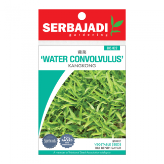 Water Convolvulus (Kangkong) Seeds (about 45 seeds)