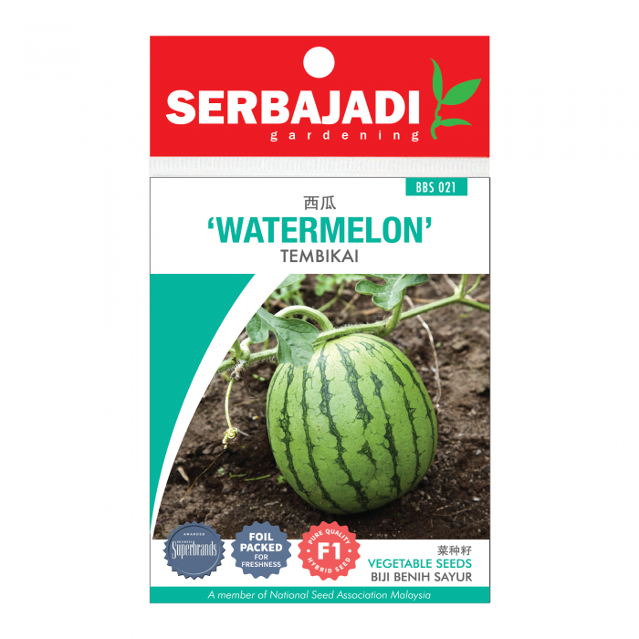 F1 Hybrid Watermelon (Tembikai) Seeds (about 20 seeds)