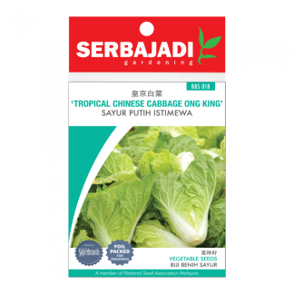Selected Tropical Chinese Cabbage, Ong King (Sayur Putih Istimewa) Seeds (about 110 seeds)