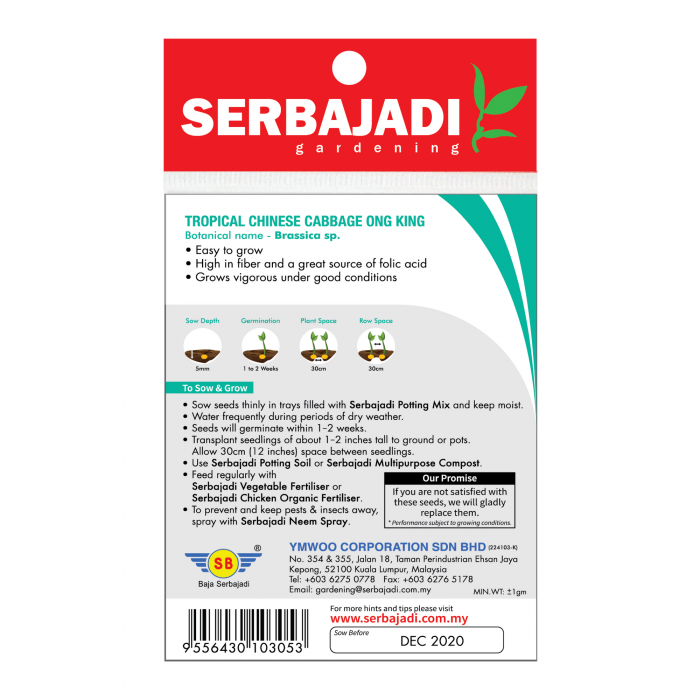 Serbajadi Seeds Selected Tropical Chinese Cabbage Ong King - Sayur Putih Istimewa ( BBS018 ) (+/- 110 Seeds) - Image 2