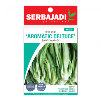 Serbajadi Seeds Aromatic Celtuce ( BBS017 ) (+/- 200 Seeds)