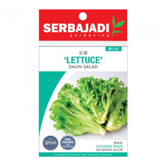 Serbajadi Seeds Lettuce - Daun Salad ( BBS012 ) (+/- 240 Seeds)