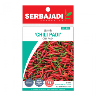 Serbajadi Seeds F1 Hybrid Chilli Padi (Hot Pepper) - Cili Padi ( BBS010 ) (+/- 80 Seeds)