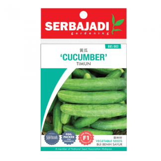 Serbajadi Seeds F1 Hybrid Cucumber - Timun ( BBS003 ) (+/- 15 Seeds)