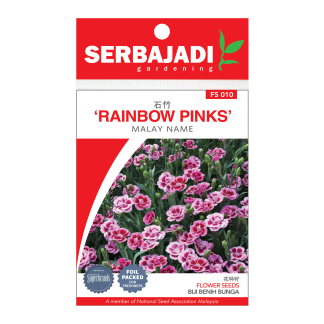 Serbajadi Seeds Rainbow Pinks (Dianthus Chinensis)- FS010 (+/- 140 Seeds)