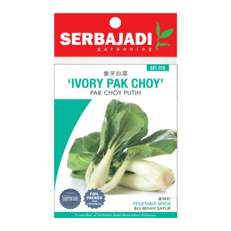 Serbajadi Seeds Ivory Selected Pak Choy Flower ( BBS020 ) (+/- 90 Seeds)