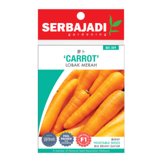 Serbajadi Seeds F1 Hybrid Carrot - Lobak Merah ( BBS009 ) (+/- 130 Seeds)