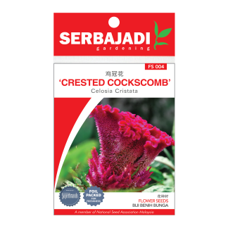 Serbajadi Seeds Crested Cocksomb FS004 (+/- 210 Seeds)