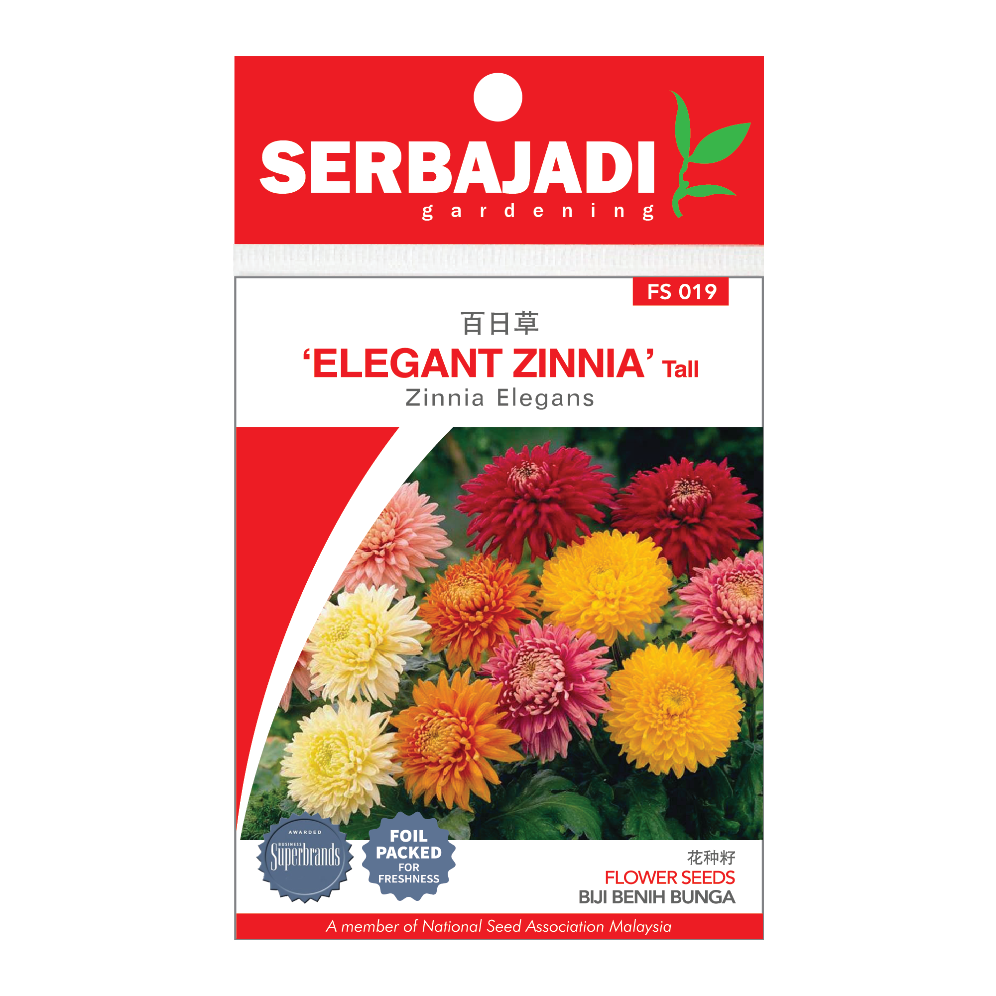 Serbajadi Seeds Cactus - Flowered Zinnia / Zinnia Elegans FS019 (+/- 30 Seeds)