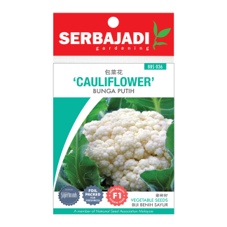 Serbajadi Seeds F1 Hybrid Cauliflower ( BBS036 ) (+/- 55 Seeds)